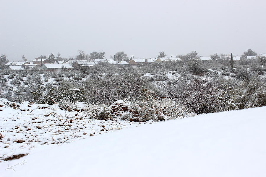 Snow Day in Tucson Photograph by Kume Bryant