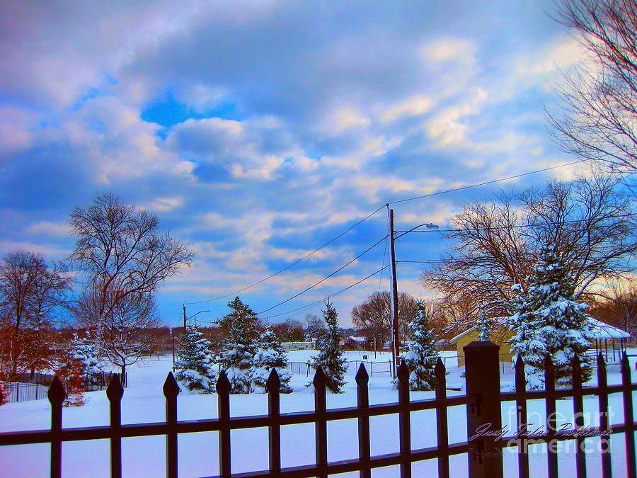 Snowy Day Photograph by Judy Palkimas
