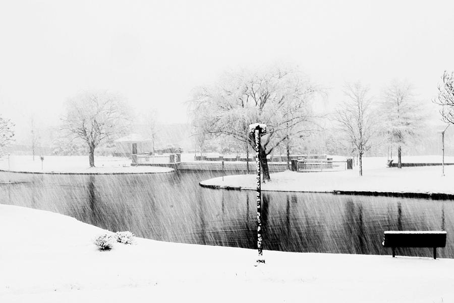 Snowy day on man made pond Photograph by Andy Lawless