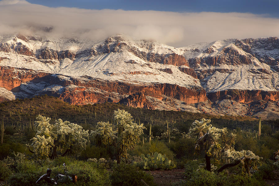 Snowy desert mountain range Photograph by Dave Dilli