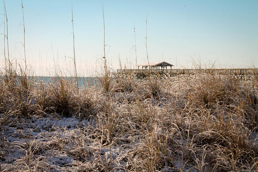 Snowy Dunes Photograph by Jessica Brown