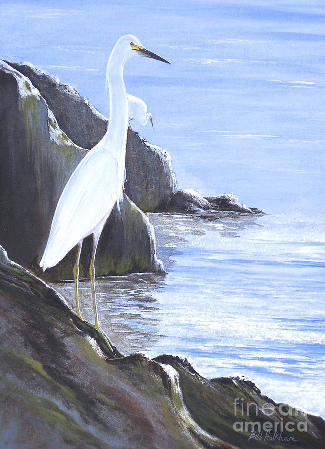 Snowy Egret Painting by Bill Holkham