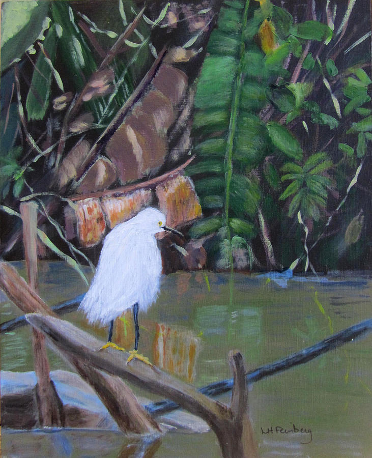Snowy Egret in Costa Rica Painting by Linda Feinberg