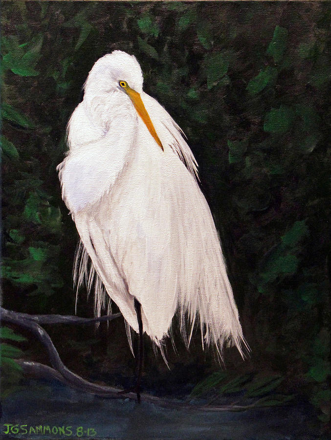 Snowy Egret Painting by Janet Greer Sammons