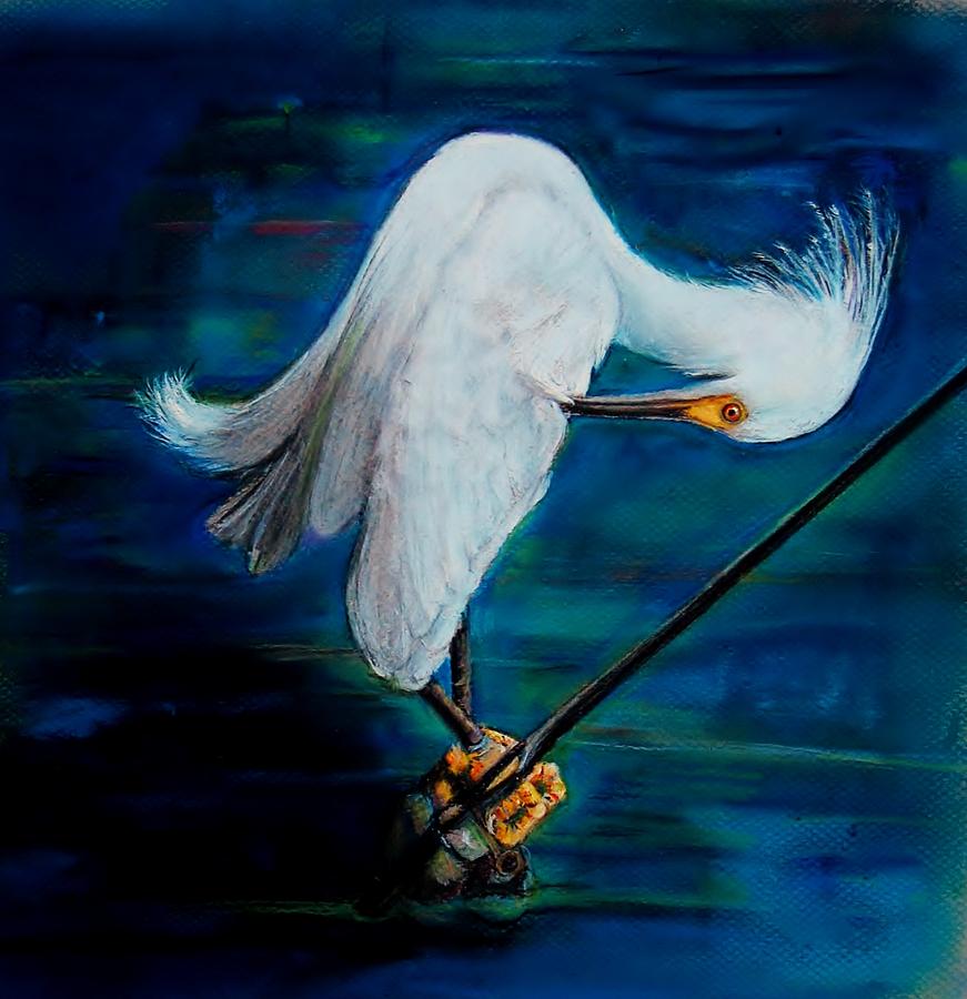 Snowy Egret Drawing by Jean Cormier