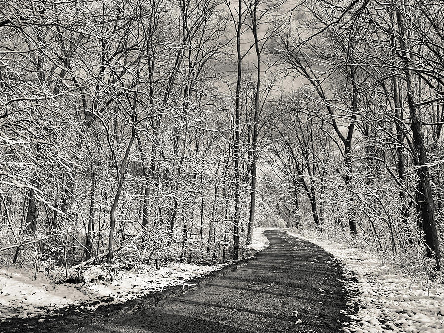 Black And White Photograph - Snowy Excursion by Tom Druin