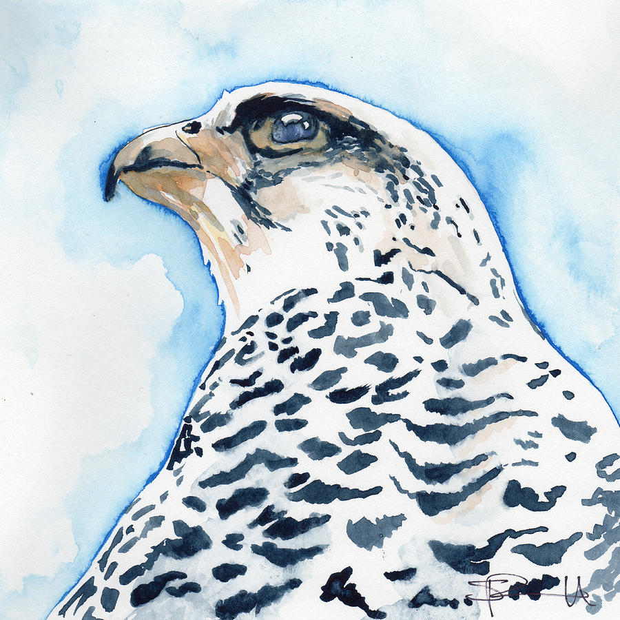 Snowy Falcon Painting by Sean Parnell