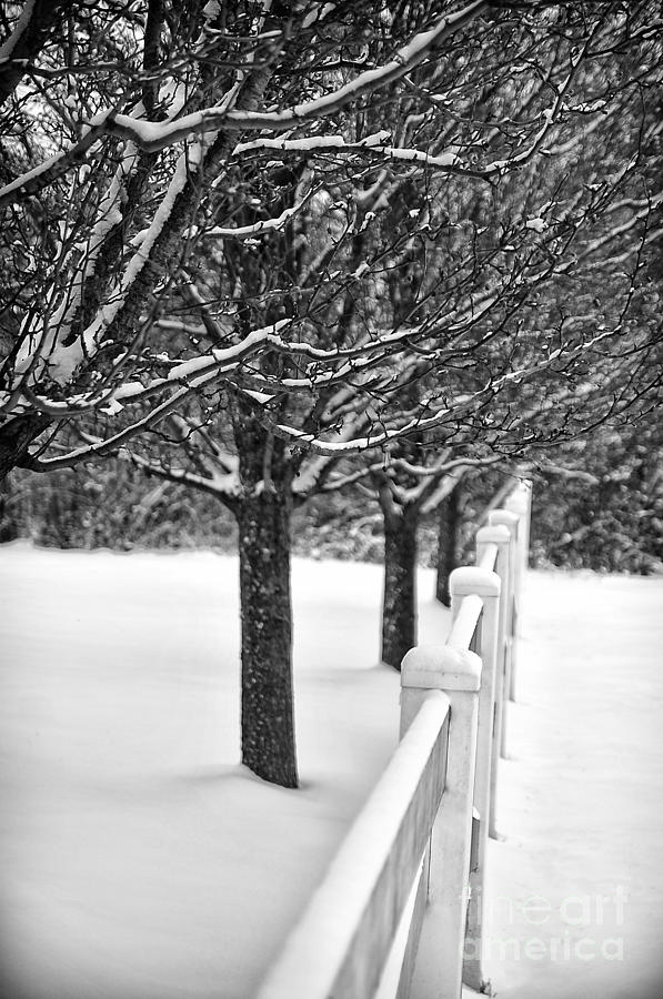 Snowy Fence Photograph by Brian Mollenkopf - Fine Art America