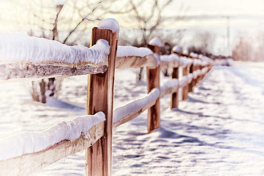 Snowy Fence Photograph by Gpr Photography