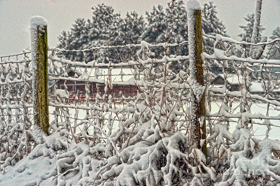 Snowy Fence HDRSC4755-13 Photograph by Randy Harris