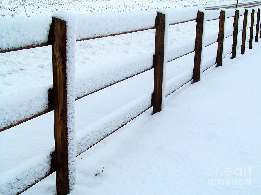 Winter Photograph - Snowy Fence by Tina M Wenger