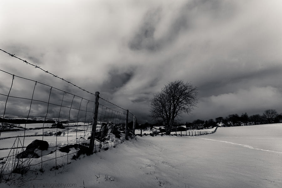 Snowy field Photograph by B Cash