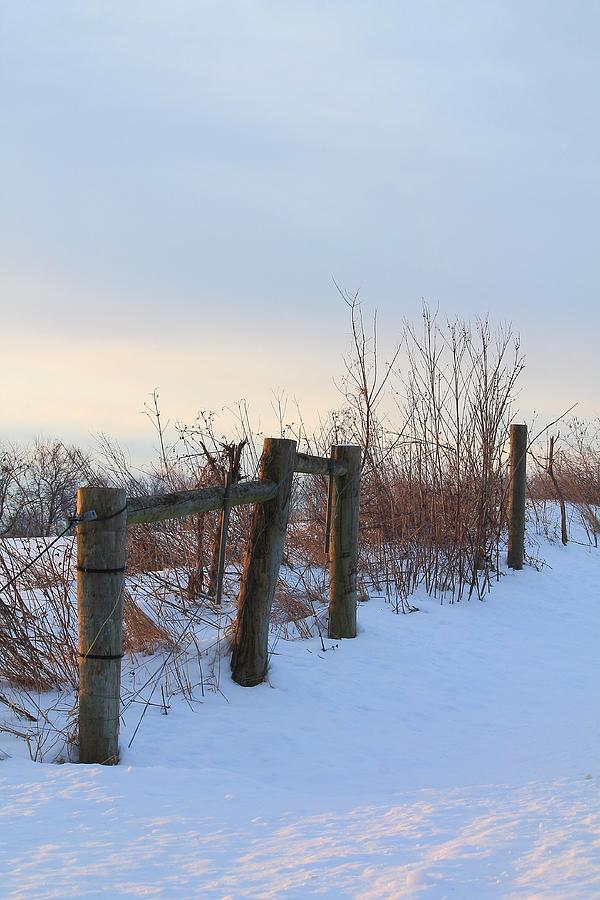 Snowy Fields Photograph by Angela Murdock
