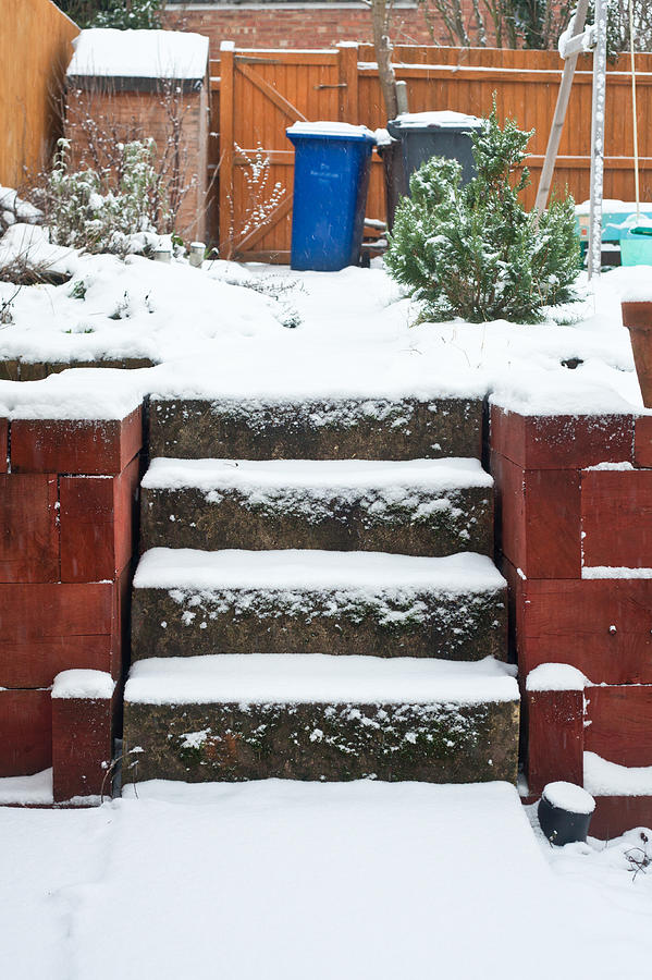 Winter Photograph - Snowy garden by Tom Gowanlock