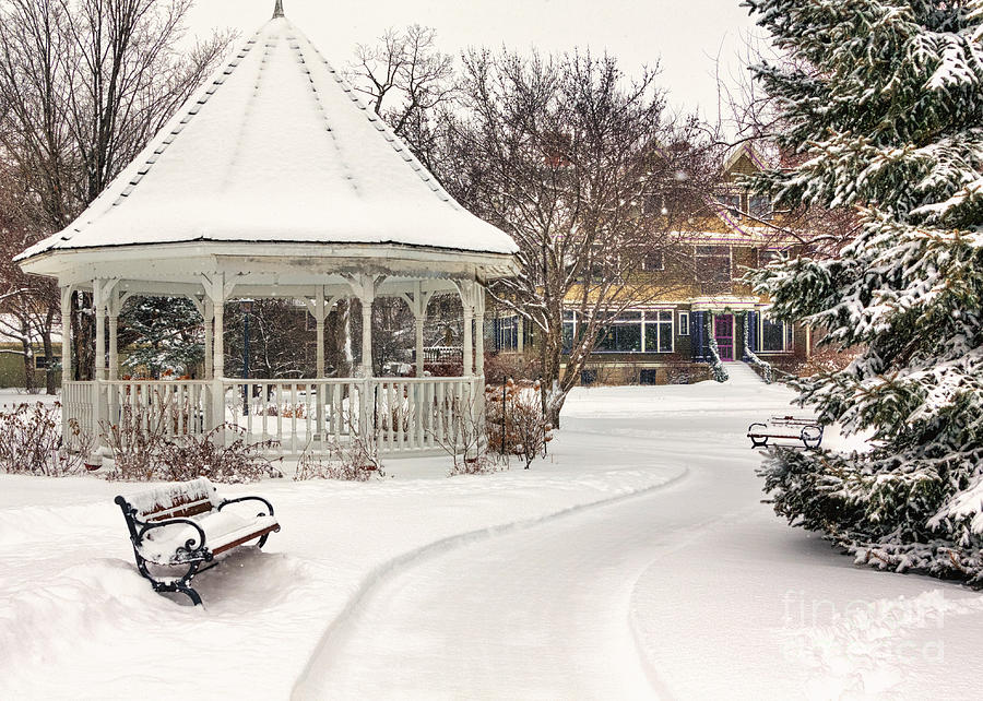 Snowy Gazebo at Windom Park color Photograph by Kari Yearous