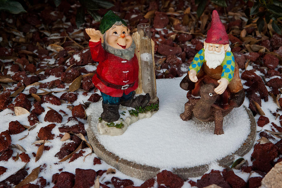 Snowy Gnome Photograph by Melinda Ledsome