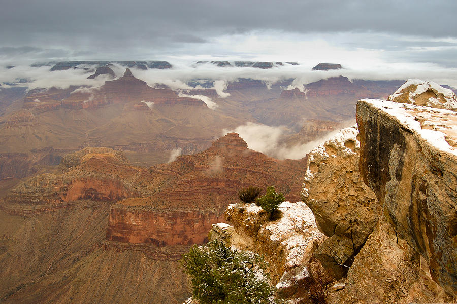Snowy Grand Canyon Photograph by Greni Graph