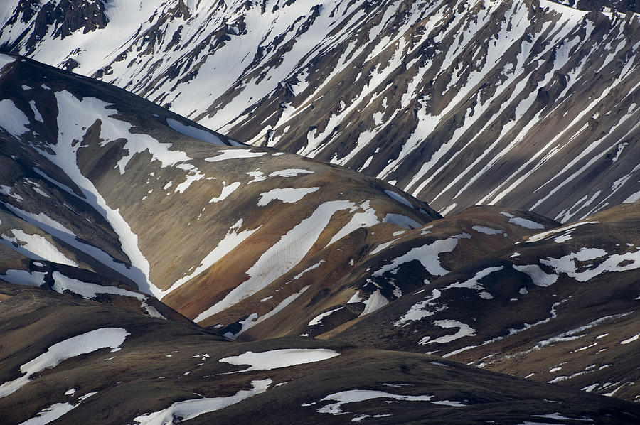 Snowy Hillsides Denali Np Alaska Photograph by Michael Quinton