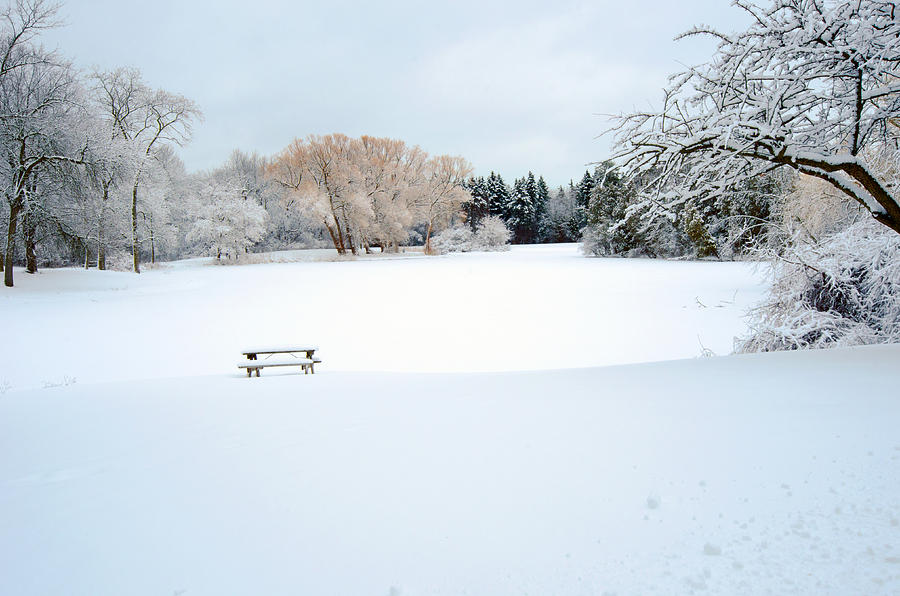 Snowy Lagoon Photograph by Susan McMenamin