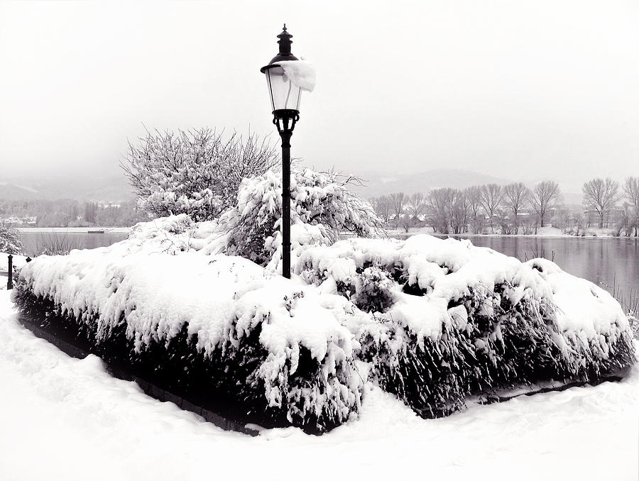 Tree Photograph - Snowy Lamp Post by the River Danube by Menega Sabidussi