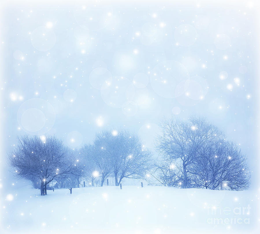 Snowy landscape Photograph by Anna Om
