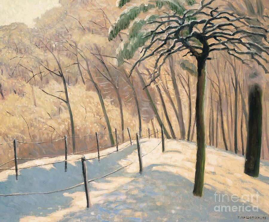 Winter Painting -  Snowy Landscape, Bois de Boulogne, 1925 by Felix Vallotton