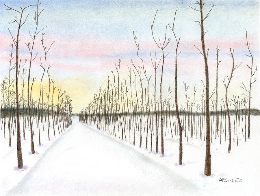 Snowy Lane Drawing by Arlene Crafton