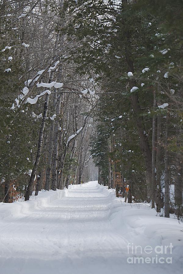 Snowy Lane Photograph by Joseph Yarbrough