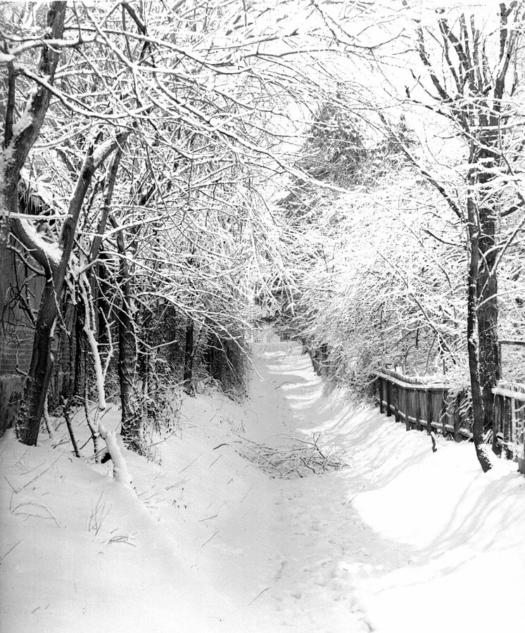 Snowy Lane Photograph by William Haggart