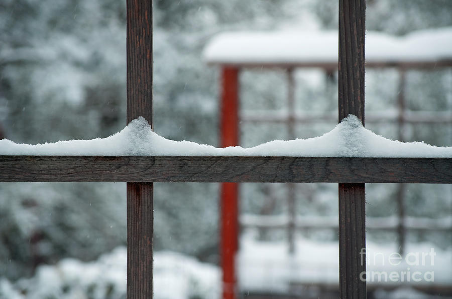 Winter Photograph - Snowy Lines by Gwyn Newcombe