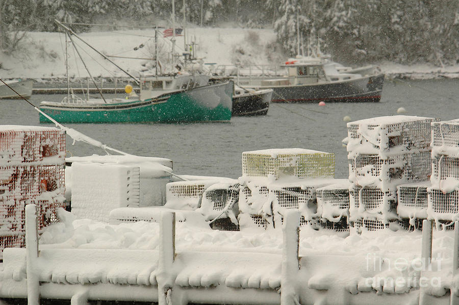 Winter Photograph - Snowy Lobster Traps by Alana Ranney