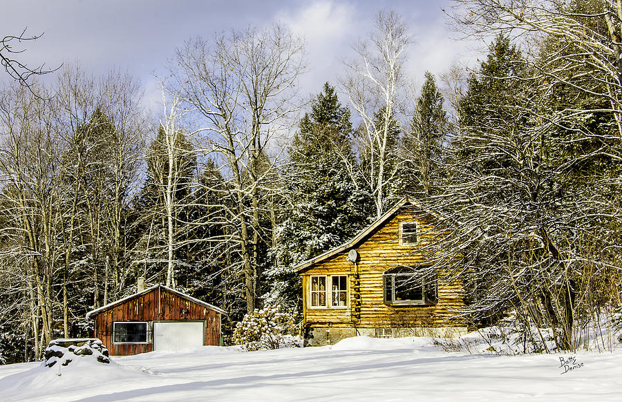 Winter Photograph - Snowy Log Home by Betty Denise