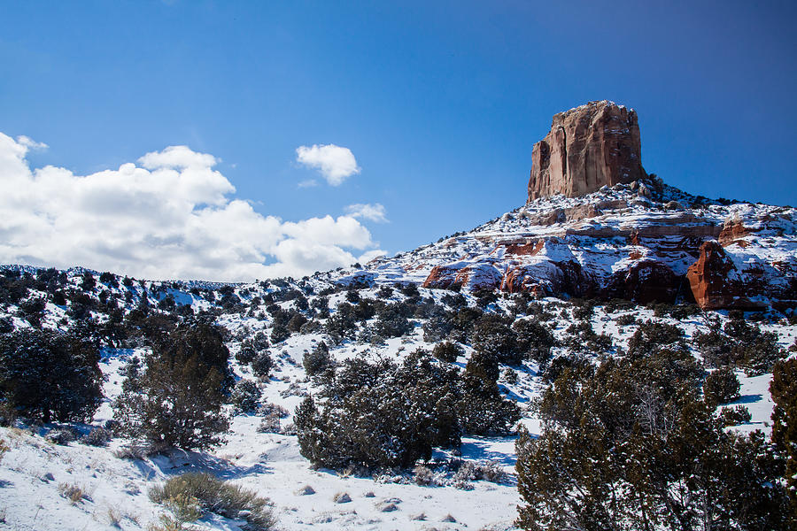 Winter Photograph - Snowy Mesa by Rob Travis