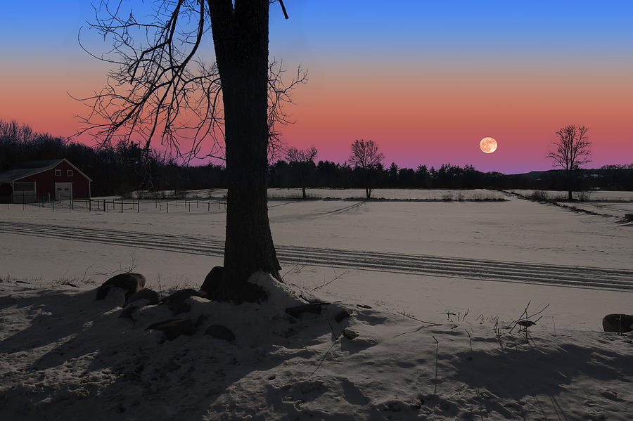 Snowy Moonrise Photograph by Larry Landolfi