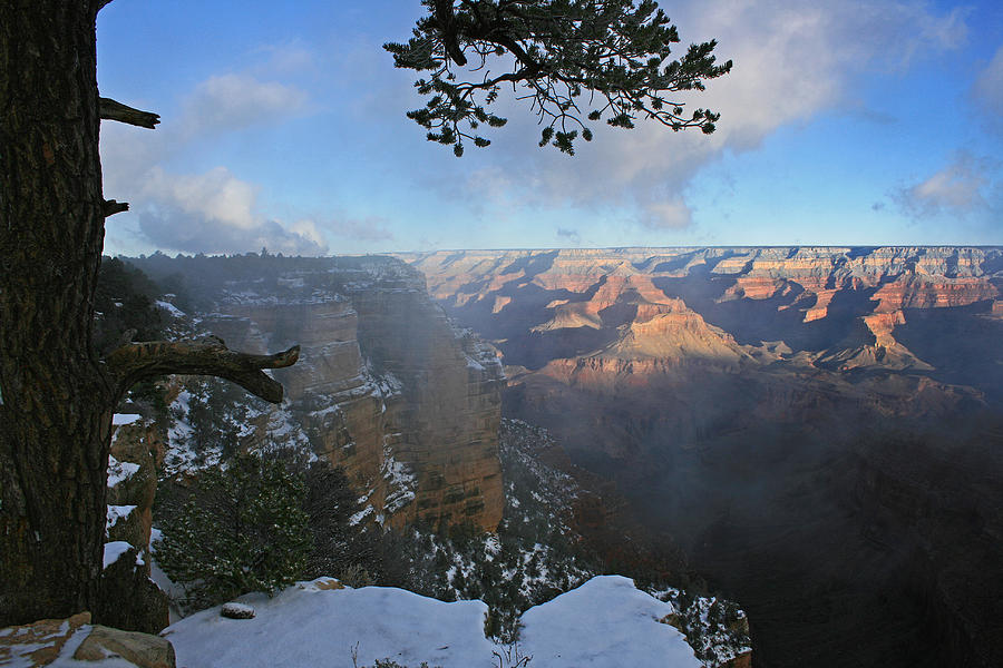 Snowy Morning In The Canyon Photograph