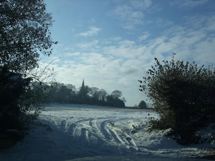 Snowy Morning Photograph by Jean Walker