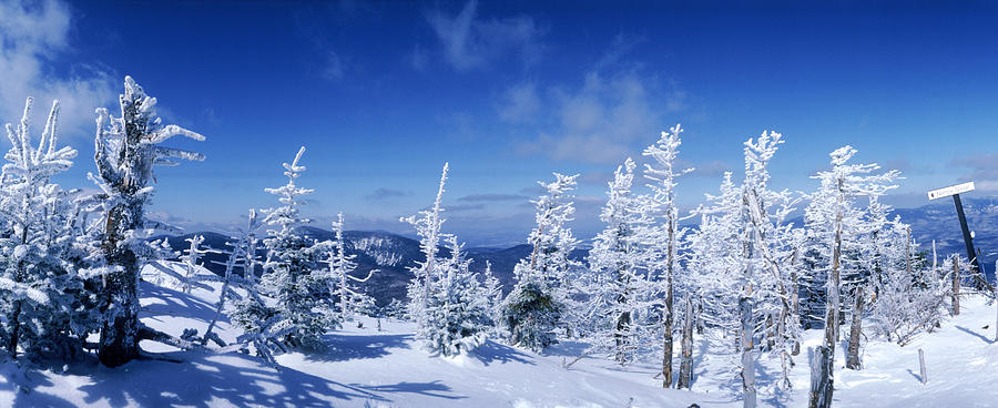 Snowy Mountain And Snow Covered Trees Photograph by Jose Azel
