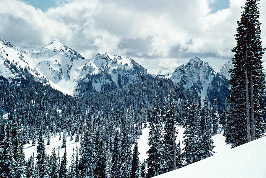 Snowy Mountain Photograph by Earl Johnson