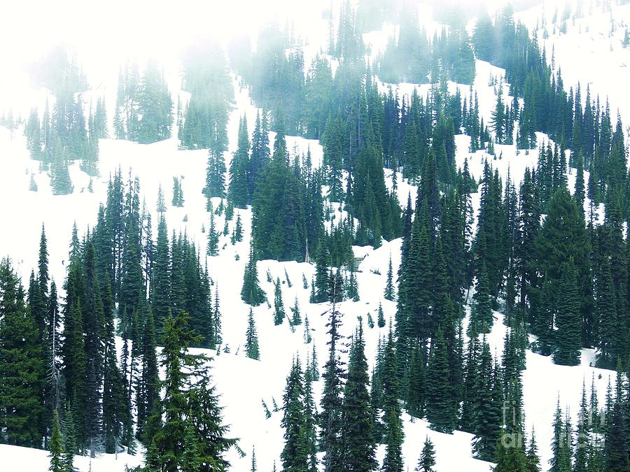 Snowy Mountain Ridge Photograph by Scott Cameron