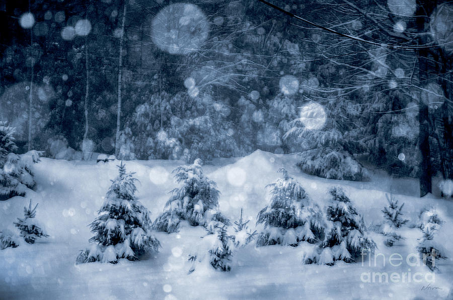 Winter Photograph - Snowy Night by Deena Athans
