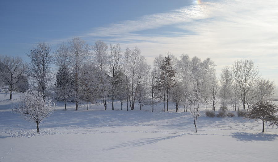 Snowy Ohio Landscape Photograph