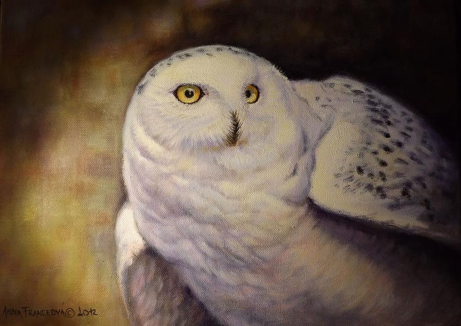 Owl Painting - Snowy owl by Anna Franceova Owl Painting - Snowy owl by Anna Franceova