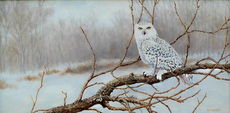 Snowy Owl Painting by Anna Lowther | Fine Art America