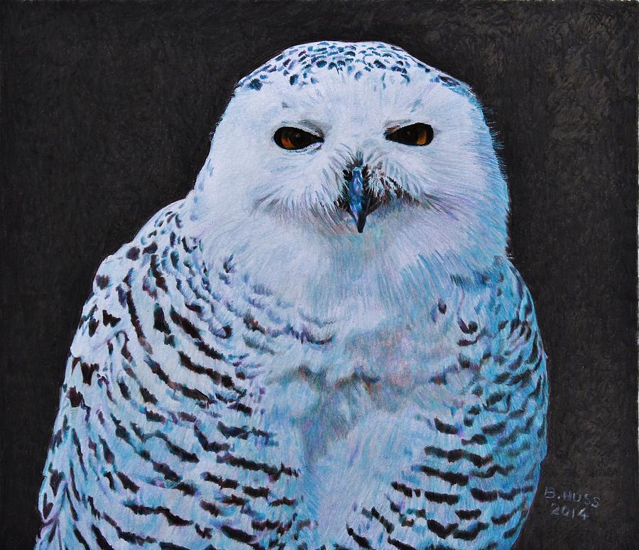 Snowy Owl Drawing by Bernd Huss | Fine Art America