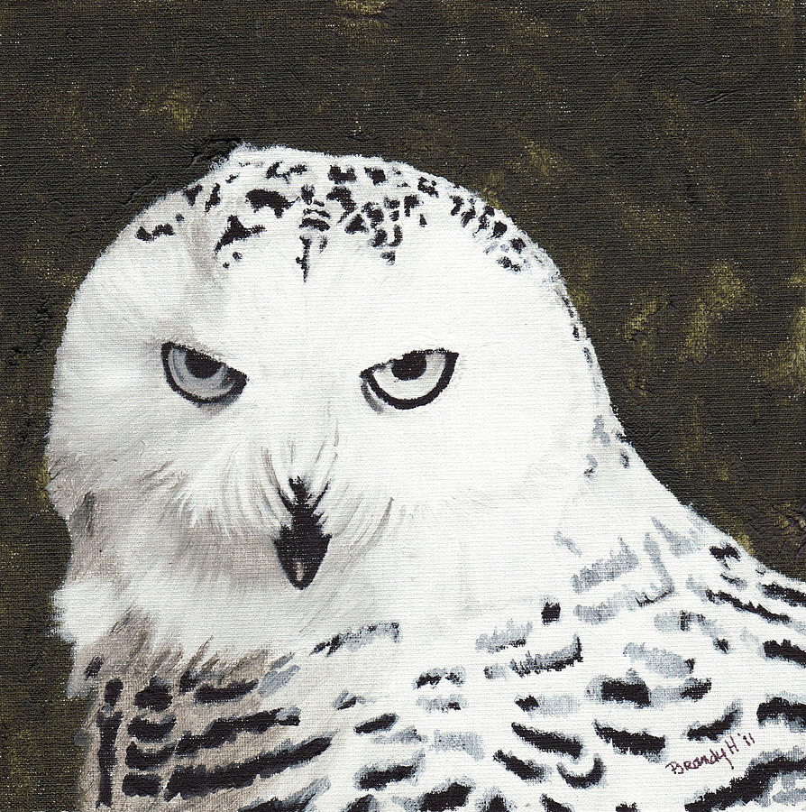 Bird Painting - Snowy Owl by Brandy House