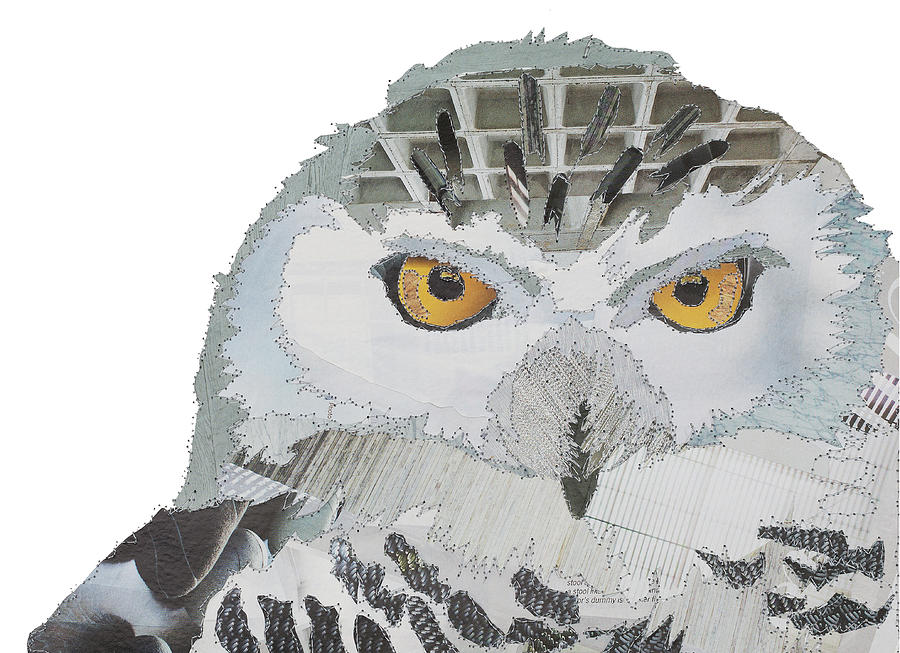 Owl Painting - Snowy Owl by MGL Meiklejohn Graphics Licensing