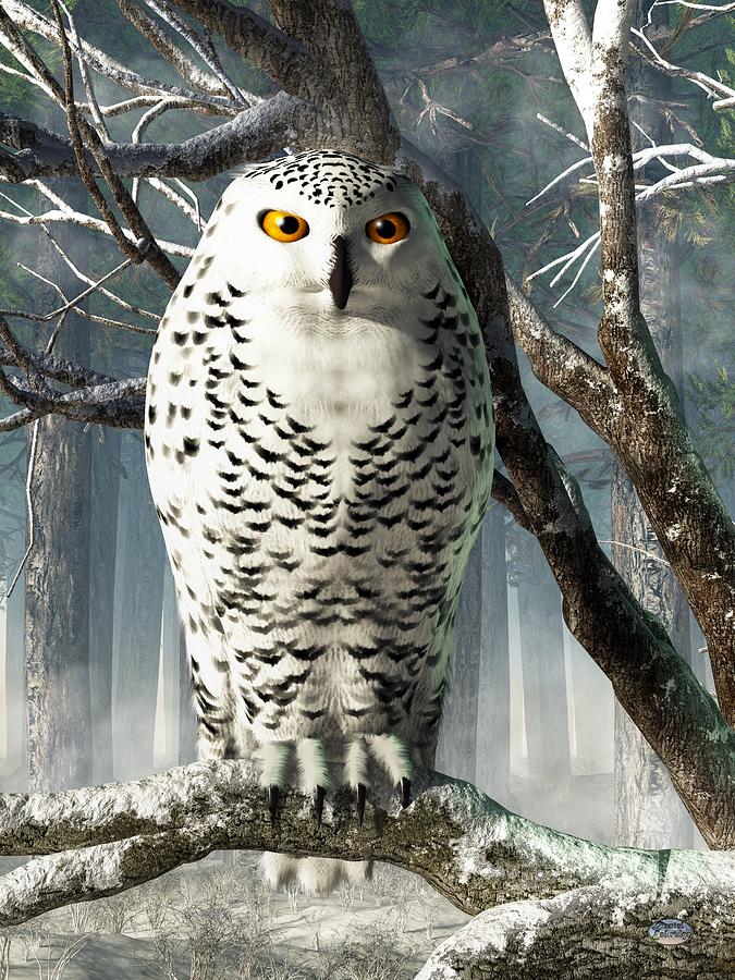 Snowy Owl Digital Art by Daniel Eskridge