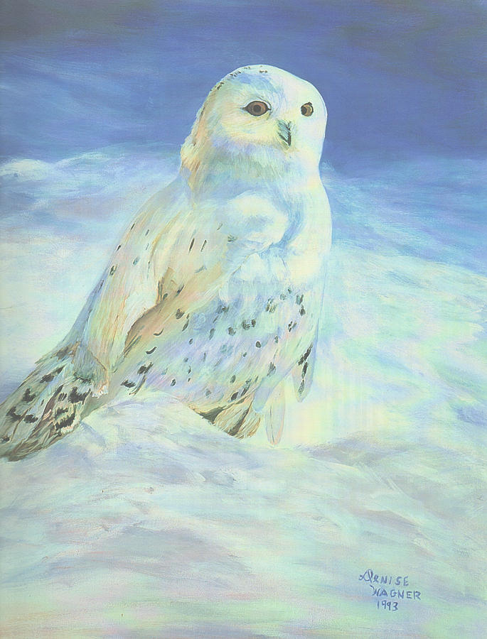 Snowy Owl Painting by Denise Wagner