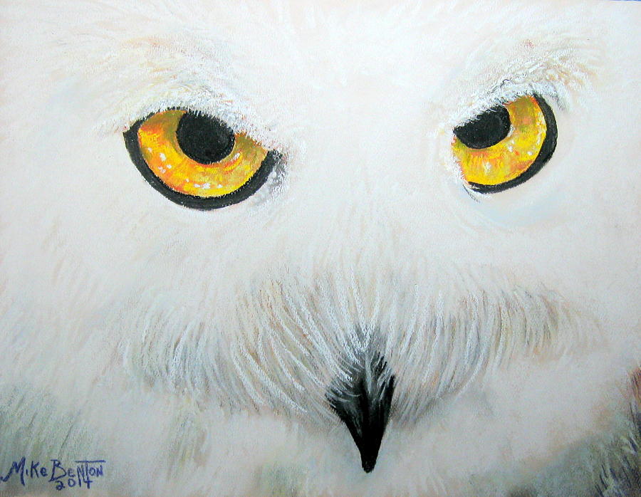 Owl Pastel - Snowy Owl by Mike Benton