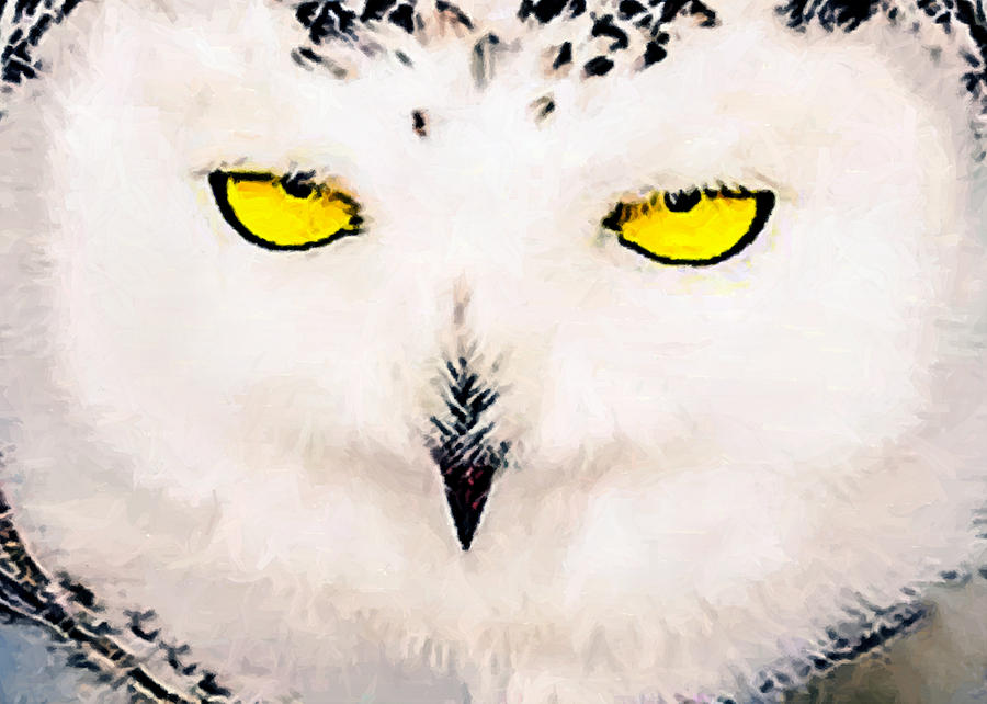 Harry Potter Painting - Artic Snowy Owl Painting by Bob and Nadine Johnston